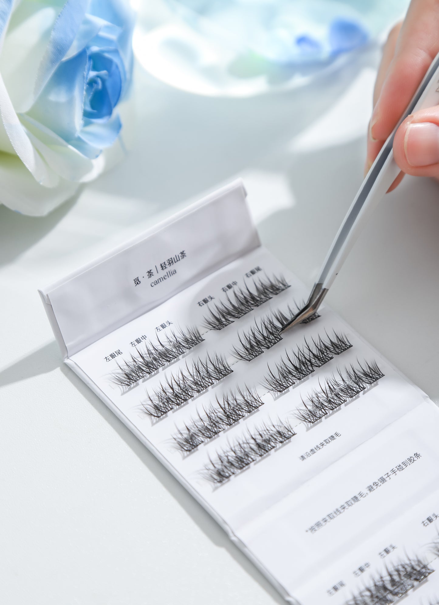 Light Feather Camellia